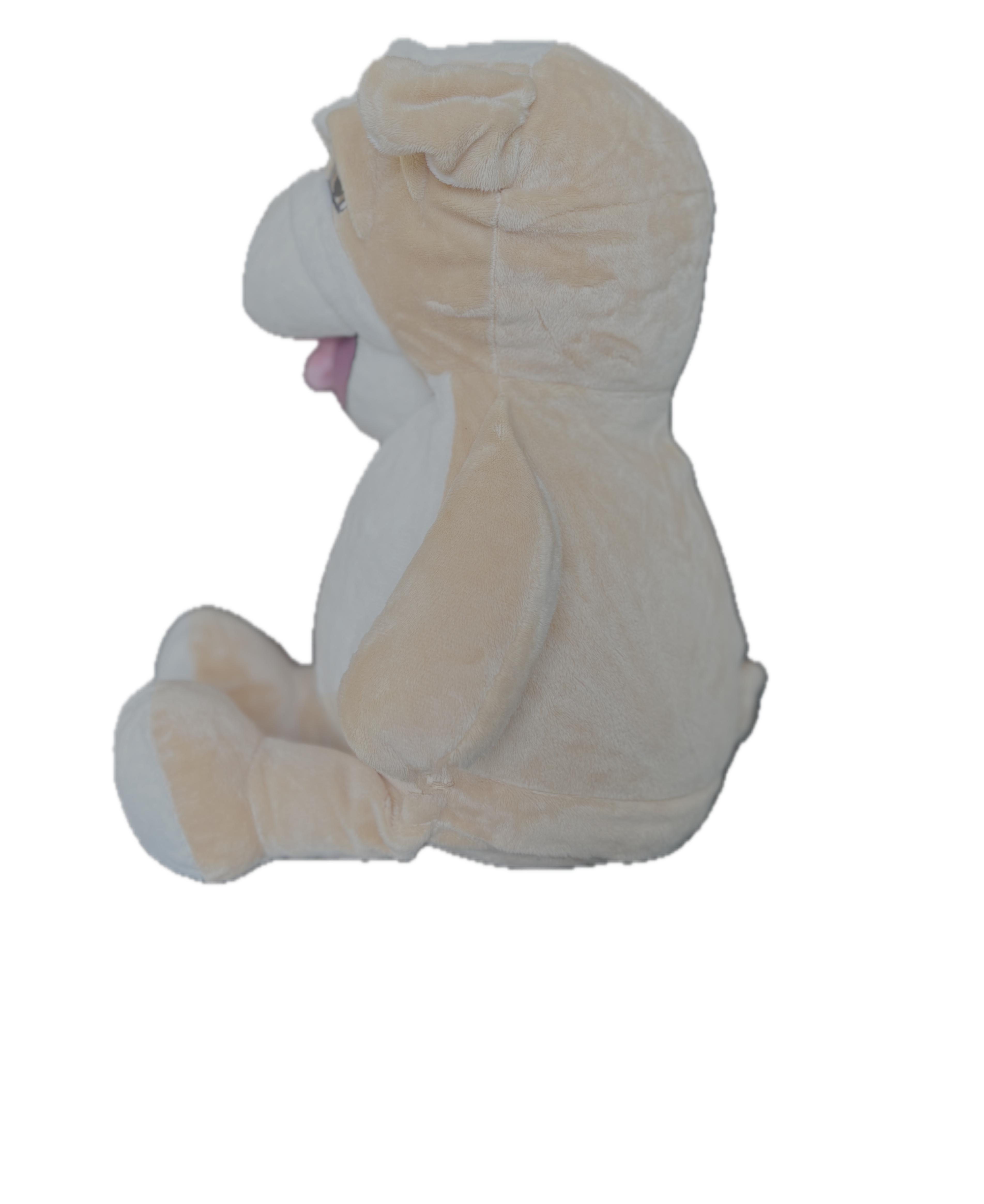 Broderies et Personnalisations 🐶